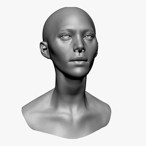 Female Head Basemesh D 3D model