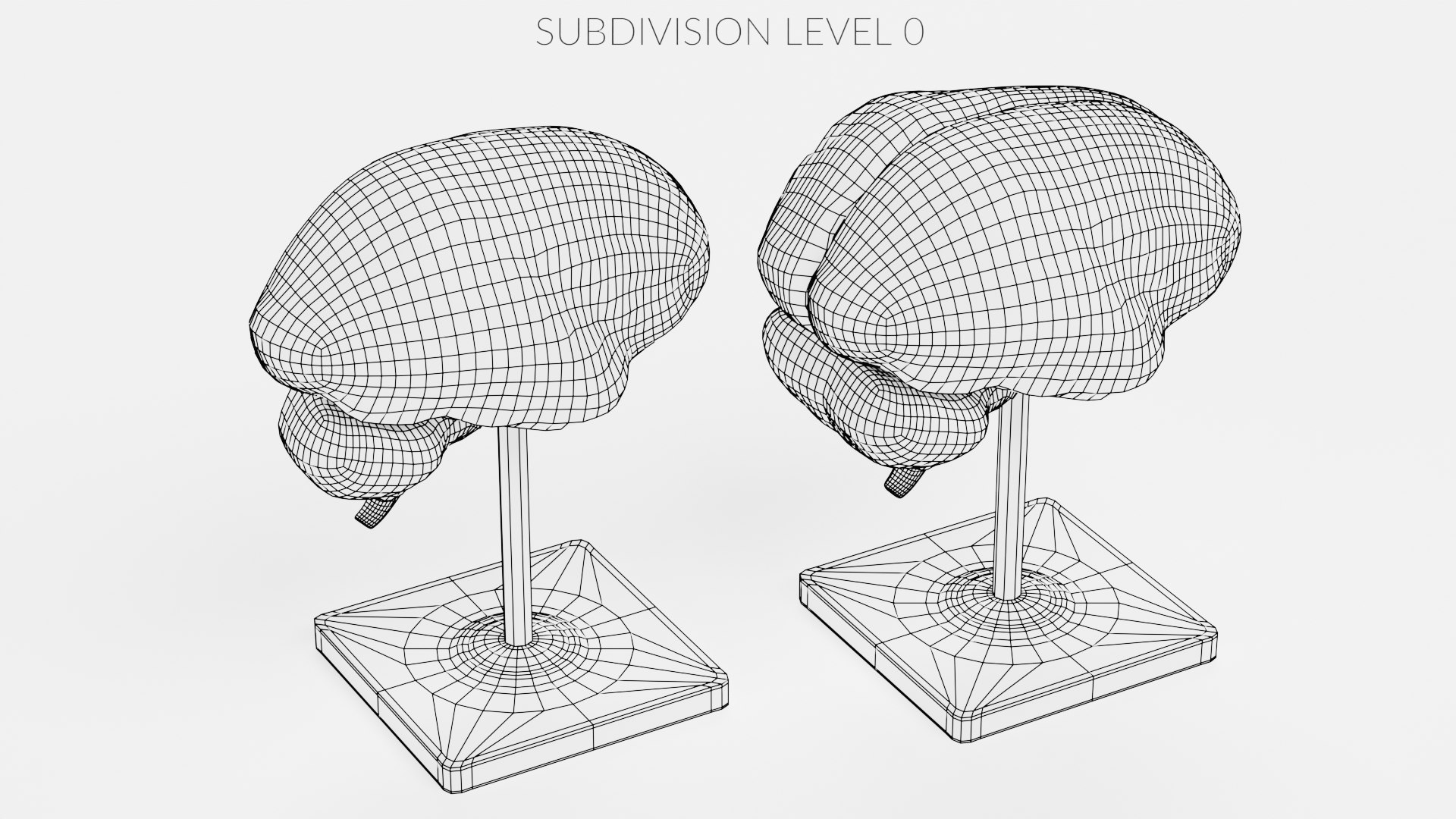 3D Brain Models - TurboSquid 2025129