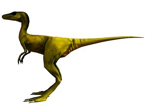 Compsognathus Dinosaur Run Pose 3D Model 3D Model $139 - .3ds .c4d .fbx .ma  .obj .max - Free3D