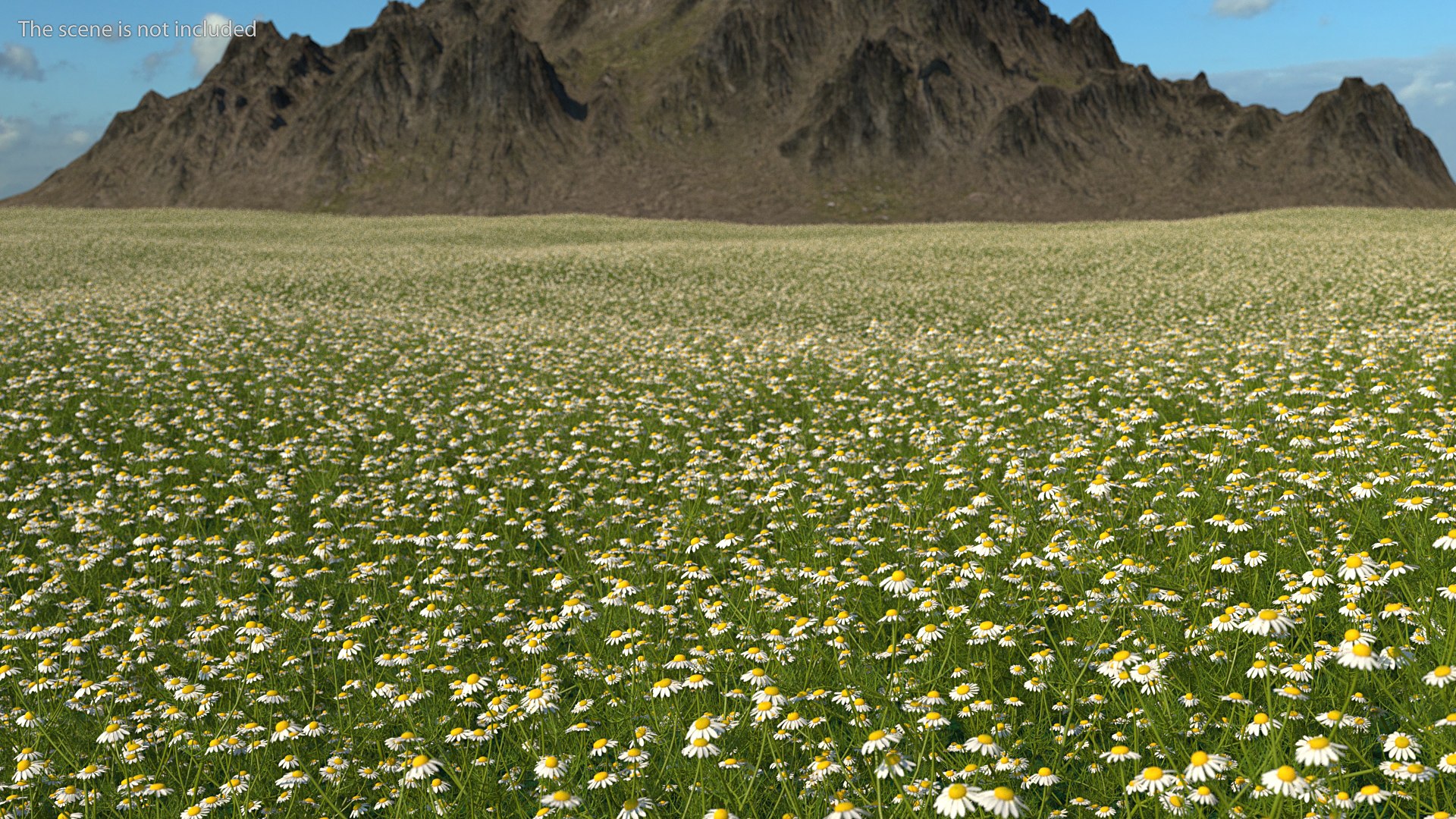 Flowering Plants Collection 8 3D model https://p.turbosquid.com/ts-thumb/gE/wZRk7u/1t/floweringplantscollection8mb3dmodel071/jpg/1657822939/1920x1080/fit_q87/356d25904a5fcb9254d5e2496820c7f2d3d624d5/floweringplantscollection8mb3dmodel071.jpg