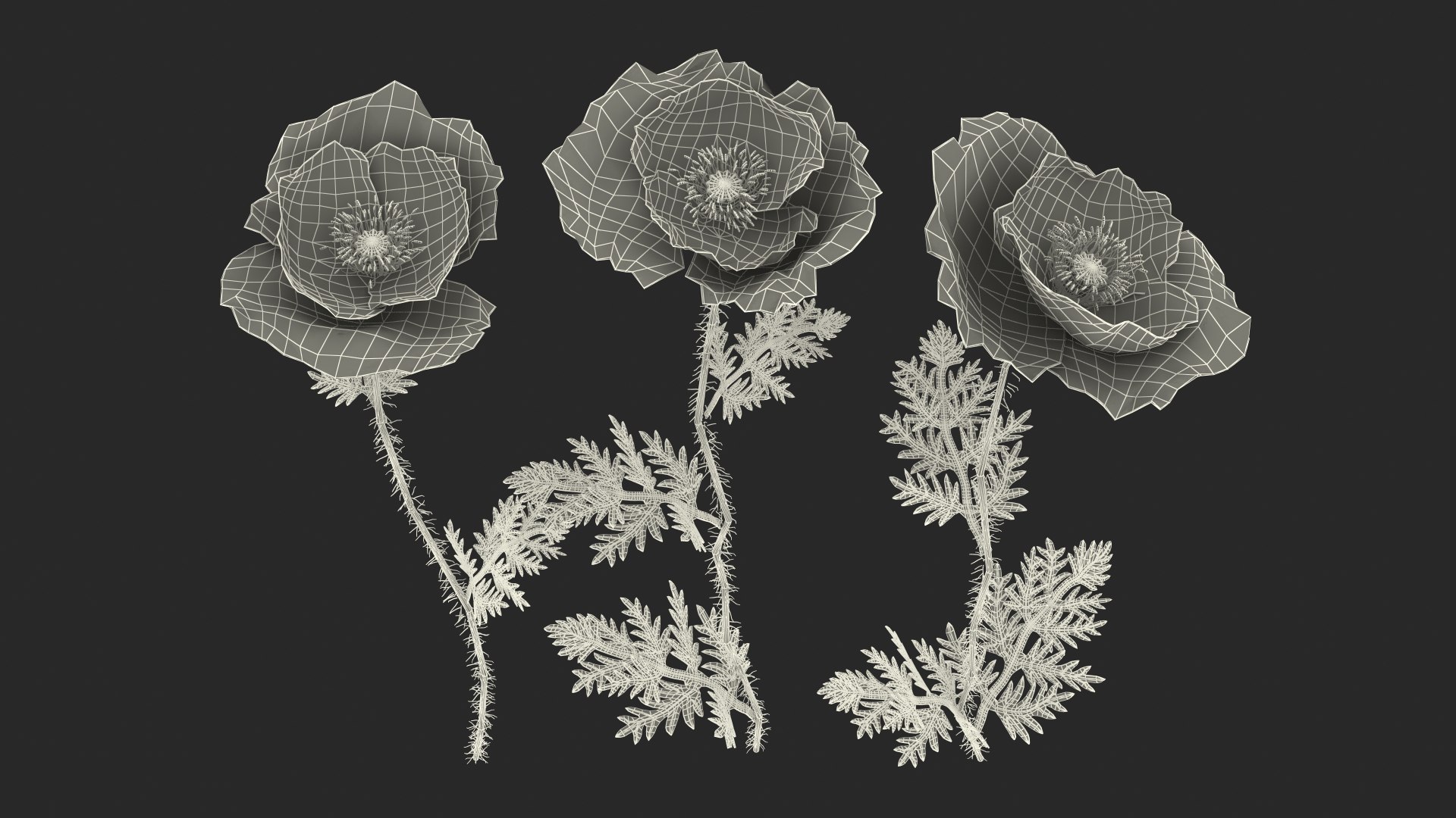 Flowering Plants Collection 8 3D model https://p.turbosquid.com/ts-thumb/gE/wZRk7u/6P/floweringplantscollection8mb3dmodel120/jpg/1657823128/1920x1080/fit_q87/1e0cdd39d2d0c055079b5ef6ab2a9ee4199740e7/floweringplantscollection8mb3dmodel120.jpg