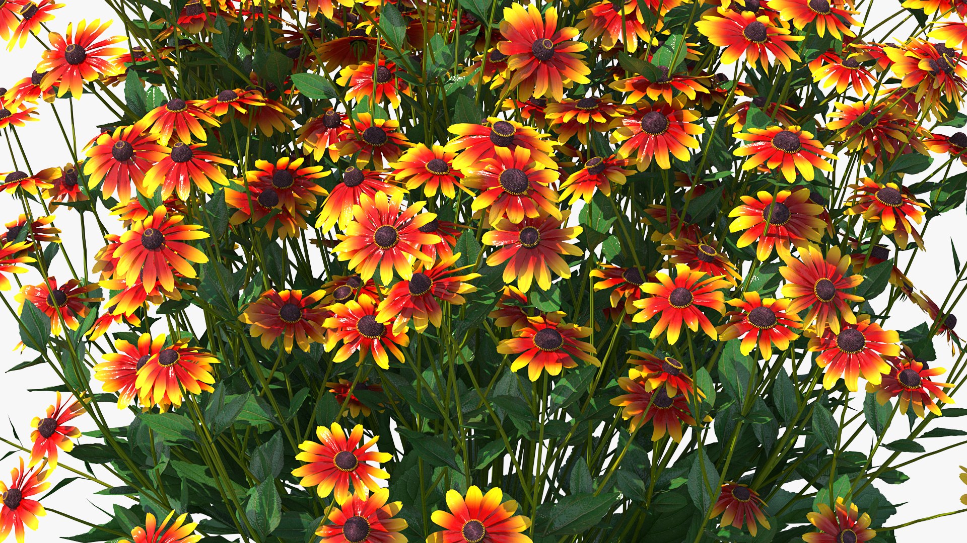 Flowering Plants Collection 8 3D model https://p.turbosquid.com/ts-thumb/gE/wZRk7u/7l/floweringplantscollection8mb3dmodel094/jpg/1657823029/1920x1080/fit_q87/bb0d32102f5cecc6675c72fdd41d929811f98e7b/floweringplantscollection8mb3dmodel094.jpg