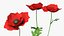 Flowering Plants Collection 8