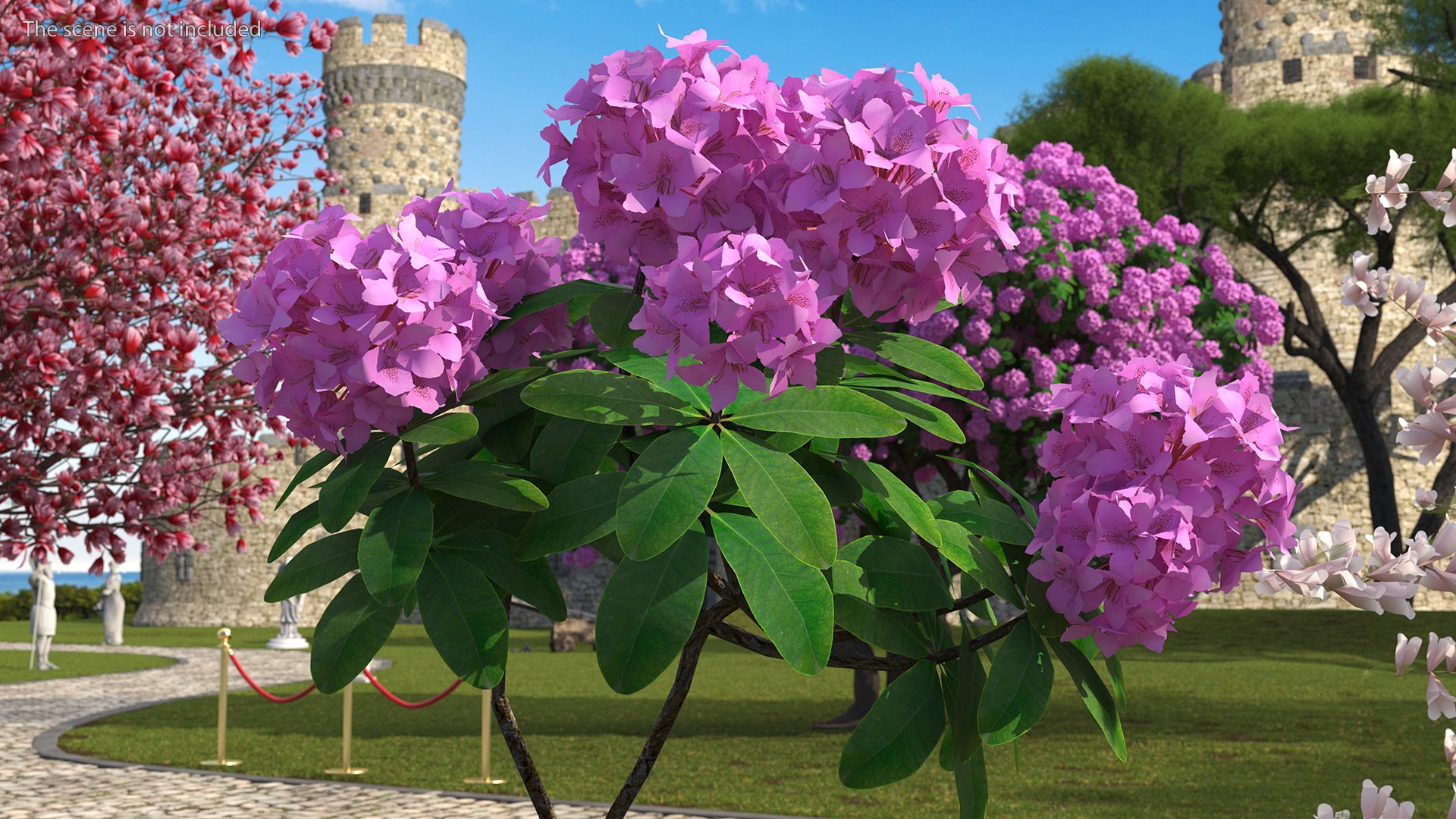 Flowering Plants Collection 8 3D model https://p.turbosquid.com/ts-thumb/gE/wZRk7u/Ht/floweringplantscollection8mb3dmodel020/jpg/1657822756/1920x1080/fit_q87/f35bf0561677f45fc4f969575c8083af5351ecba/floweringplantscollection8mb3dmodel020.jpg