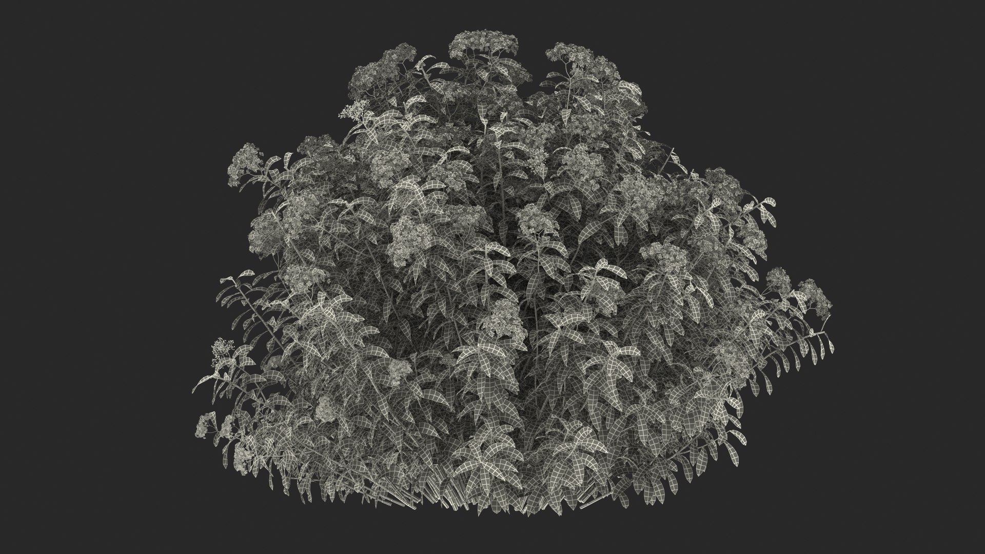 Flowering Plants Collection 8 3D model https://p.turbosquid.com/ts-thumb/gE/wZRk7u/Qw/floweringplantscollection8mb3dmodel117/jpg/1657823119/1920x1080/fit_q87/cb843413ba2488683fca345a52ff8086b23819a6/floweringplantscollection8mb3dmodel117.jpg