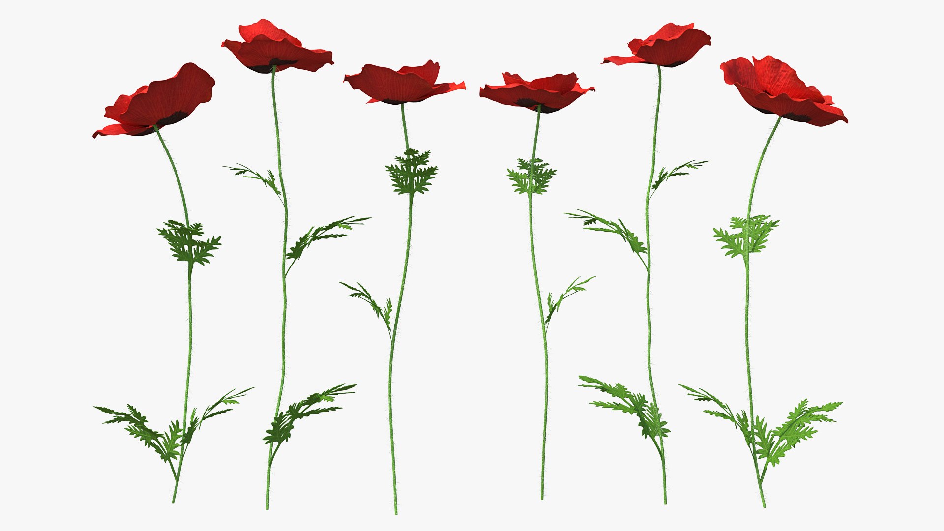 Flowering Plants Collection 8 3D model https://p.turbosquid.com/ts-thumb/gE/wZRk7u/fA/floweringplantscollection8mb3dmodel086/jpg/1657822999/1920x1080/fit_q87/0dc928998125e559cb816c6cdc22df10adc6590e/floweringplantscollection8mb3dmodel086.jpg