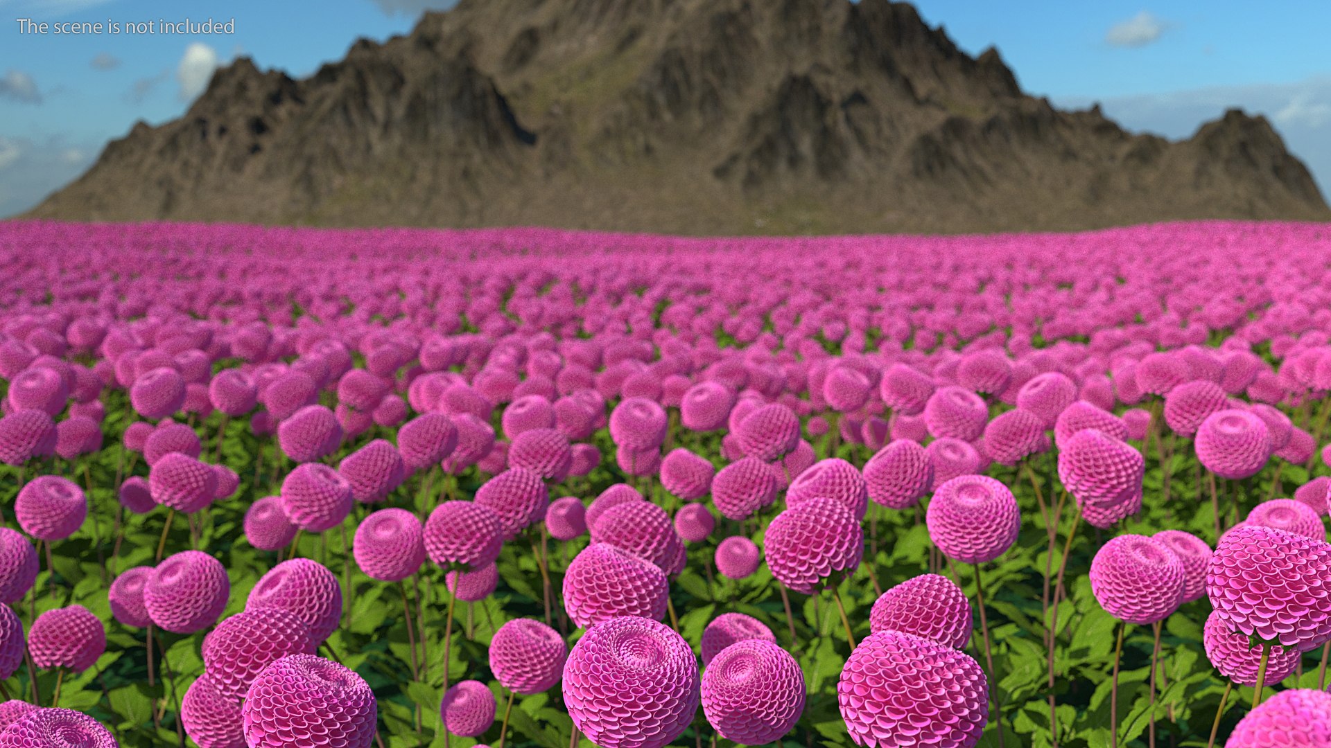 Flowering Plants Collection 8 3D model https://p.turbosquid.com/ts-thumb/gE/wZRk7u/fb/floweringplantscollection8mb3dmodel045/jpg/1657822842/1920x1080/fit_q87/44d7916a8b81254b87f7454640405c9ef9ac599a/floweringplantscollection8mb3dmodel045.jpg