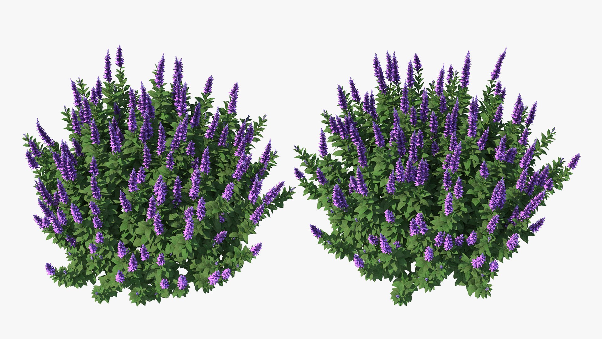 Flowering Plants Collection 8 3D model https://p.turbosquid.com/ts-thumb/gE/wZRk7u/iF/floweringplantscollection8mb3dmodel006/jpg/1657822703/1920x1080/fit_q87/9b90c77b575e0556bc96e7ea14391bdd2c48c100/floweringplantscollection8mb3dmodel006.jpg