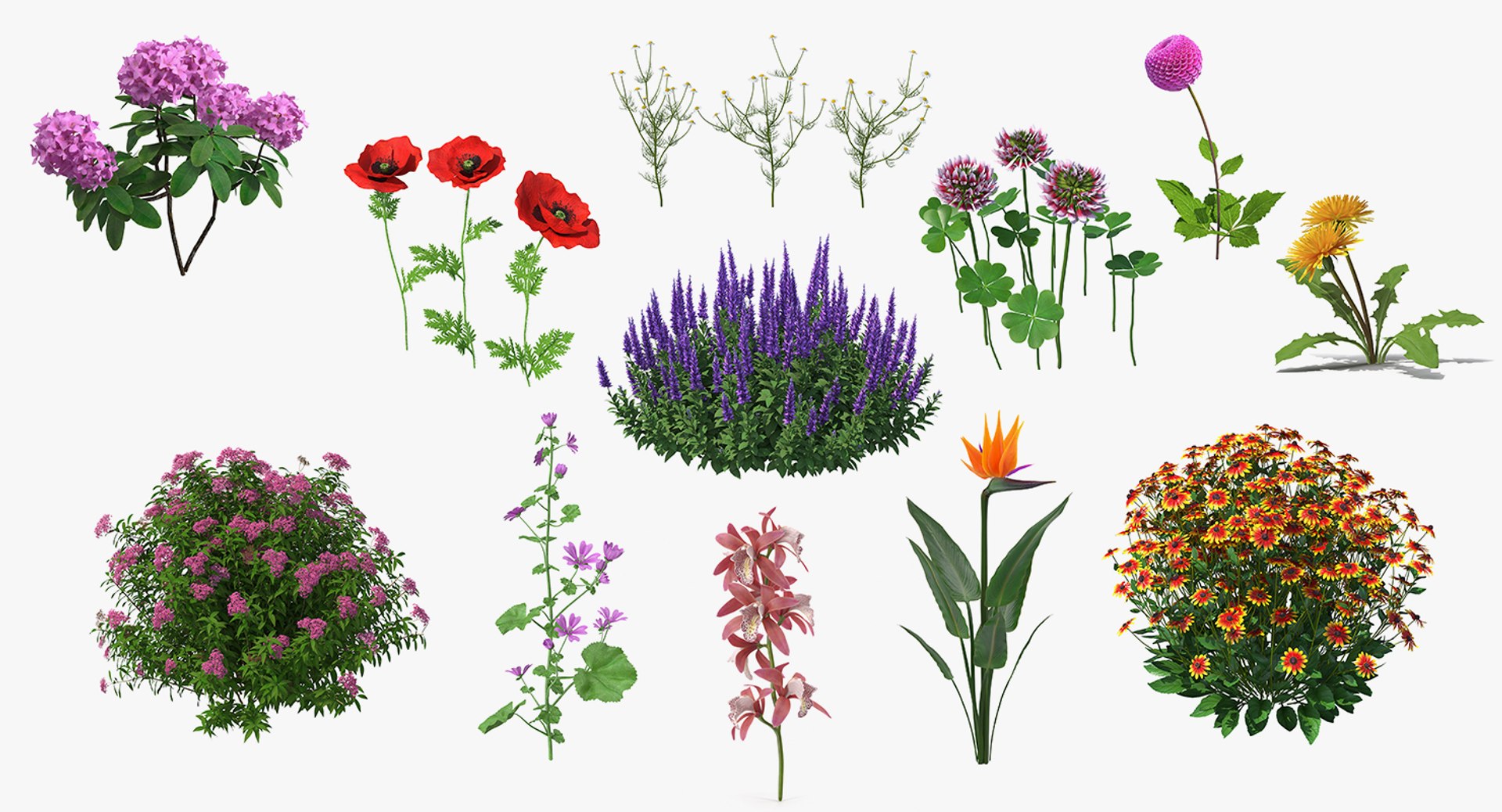Flowering Plants Collection 8 3D model https://p.turbosquid.com/ts-thumb/gE/wZRk7u/j2/floweringplantscollection8mb3dmodel001/jpg/1657822685/1920x1080/fit_q87/d2968f70fcf15a7a83d5f3f8a6512df25ce2b489/floweringplantscollection8mb3dmodel001.jpg