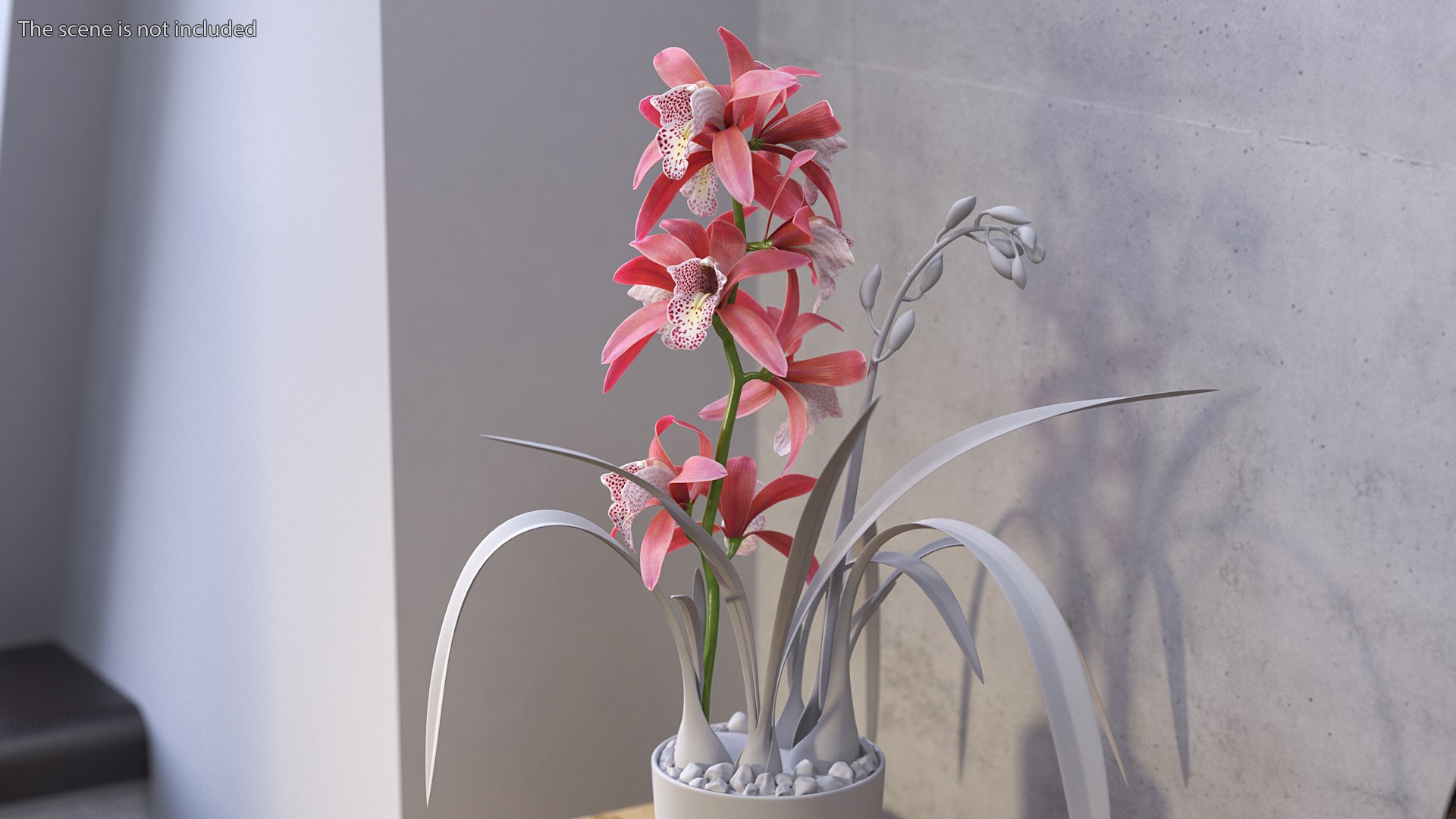 Flowering Plants Collection 8 3D model https://p.turbosquid.com/ts-thumb/gE/wZRk7u/ms/floweringplantscollection8mb3dmodel035/jpg/1657822810/1920x1080/fit_q87/6ee9fe334bc24649cf35fc241d14e6e31abbe594/floweringplantscollection8mb3dmodel035.jpg