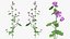 Flowering Plants Collection 8