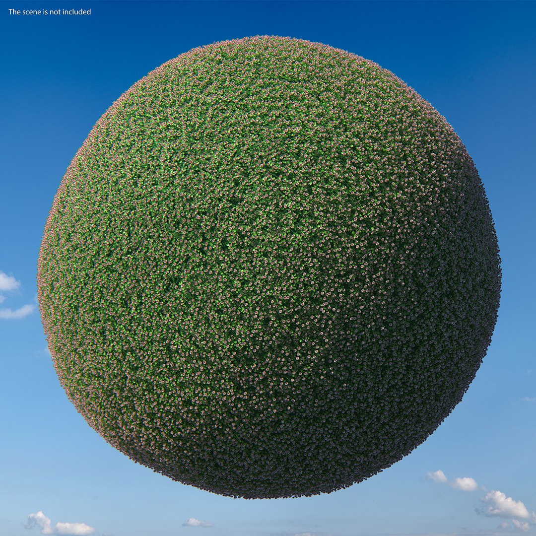 Flowering Plants Collection 8 3D model https://p.turbosquid.com/ts-thumb/gE/wZRk7u/no/floweringplantscollection8mb3dmodel011/jpg/1657822723/1920x1080/fit_q87/2d70b6865fb6a1bbae4e6b29724634176ee78bcf/floweringplantscollection8mb3dmodel011.jpg