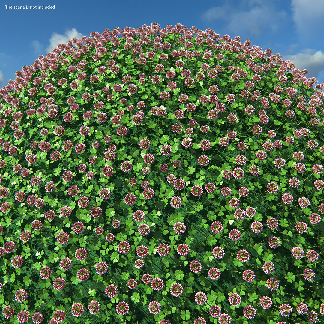 Flowering Plants Collection 8 3D model https://p.turbosquid.com/ts-thumb/gE/wZRk7u/pP/floweringplantscollection8mb3dmodel012/jpg/1657822729/1920x1080/fit_q87/0ce453c11dae6fe7f946eb248a9082b22698a030/floweringplantscollection8mb3dmodel012.jpg