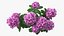 Flowering Plants Collection 8
