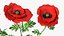 Flowering Plants Collection 8