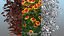 Flowering Plants Collection 8