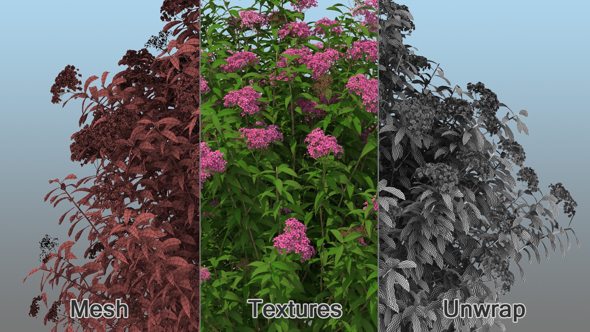Flowering Plants Collection 8 3D model https://p.turbosquid.com/ts-thumb/gE/wZRk7u/xn/floweringplantscollection8mb3dmodel055/jpg/1657822880/1920x1080/fit_q87/a40f0abe4ff34fe8fb06efba32d7e2a2e68f1676/floweringplantscollection8mb3dmodel055.jpg