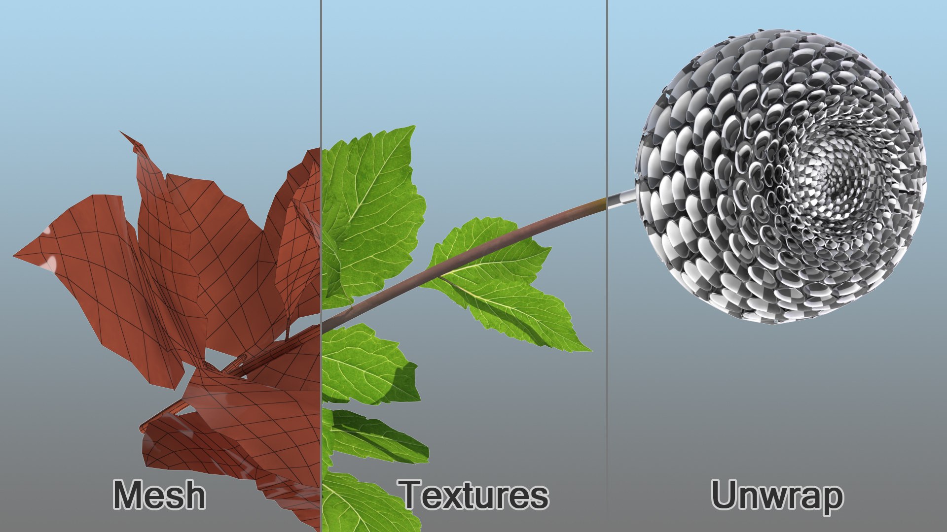 Flowering Plants Collection 8 3D model https://p.turbosquid.com/ts-thumb/gE/wZRk7u/zv/floweringplantscollection8mb3dmodel047/jpg/1657822849/1920x1080/fit_q87/0786b41e2cedfd15b4c36a0ecf2a565f240caecf/floweringplantscollection8mb3dmodel047.jpg