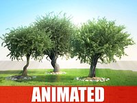 Realistic Animated Olive Tree Olea COLLECTION for Maya and 3dsmax