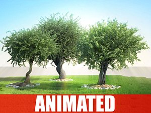 Animated And Bundle V Ray Render For 3ds Max 3D Models For Download ...