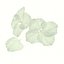 Flor de hortensia blanca