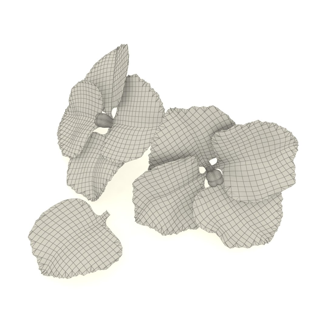 hydrangea macrophylla flower 3D https://p.turbosquid.com/ts-thumb/gF/3apFbz/xS1B0uzM/4/jpg/1608973229/1920x1080/fit_q87/afd50c36c46e74b4687a613f5c12833a7e0cea1b/4.jpg
