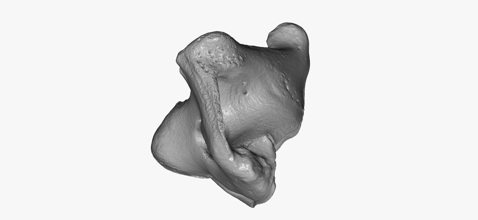 3D domestic pig sus domesticus https://p.turbosquid.com/ts-thumb/gF/3hJVja/QllMG63J/domestic_pig__sus_domesticus__cervical_vertebrae_c1_atlas_01_thumbnail_12/jpg/1601448670/1920x1080/fit_q87/a514e64472e47b4ef692ad256bb2f7b1ecb43920/domestic_pig__sus_domesticus__cervical_vertebrae_c1_atlas_01_thumbnail_12.jpg