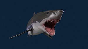 3D Realistic Shark Rigged and Animated for VR AR Games Low-poly 3D model model