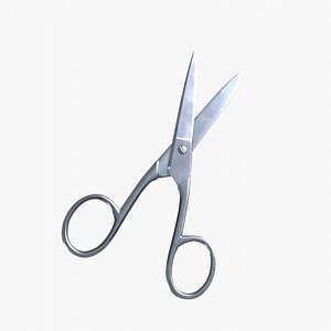 Household Scissors