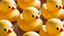 Rubber Duck Bath Toys