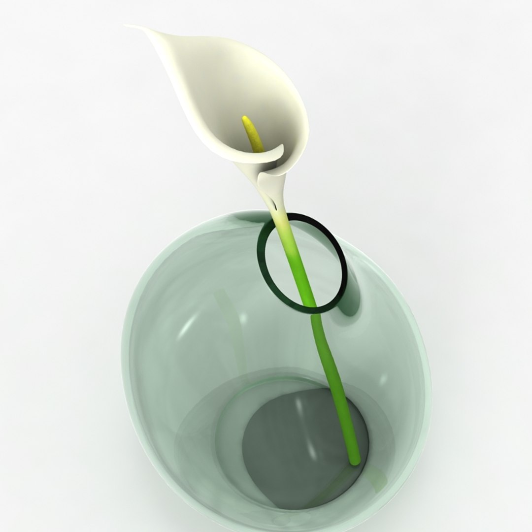 3ds max modern vase flower https://p.turbosquid.com/ts-thumb/gF/GNF7iq/ZY2Gv3fC/vase_058_render_0002/jpg/1433056137/1920x1080/fit_q87/17b9d0be9c9756f5cf31b850ec5a87a690875985/vase_058_render_0002.jpg