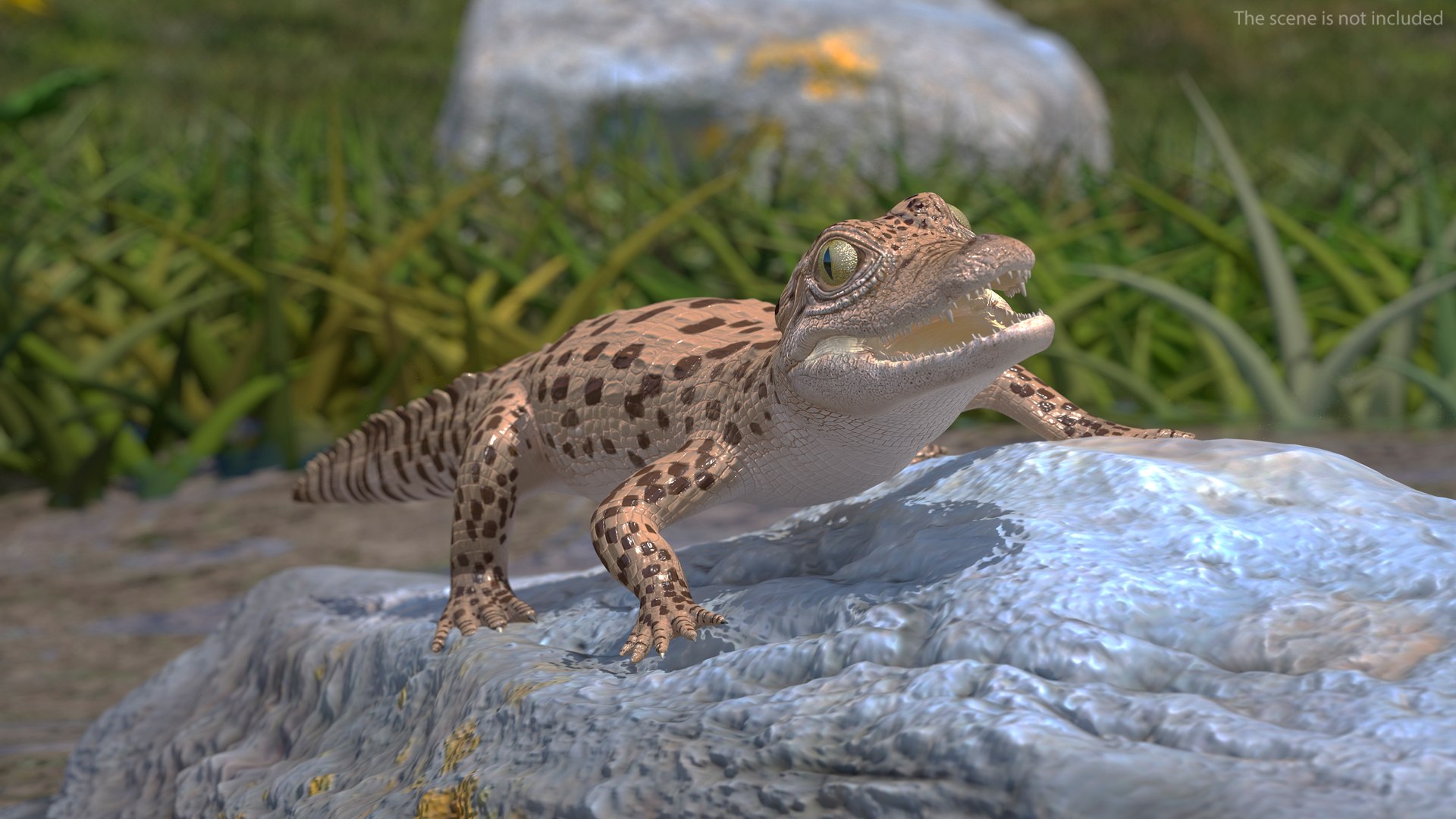Baby Crocodile Light Color Rigged for Maya 3D https://p.turbosquid.com/ts-thumb/gF/OlYuMo/BP/babycrocodilelightcolorrigged3dmodel003/jpg/1655313035/1920x1080/fit_q87/0afbf54a4be78def1d79583f72d7e7f5bcbe62b4/babycrocodilelightcolorrigged3dmodel003.jpg