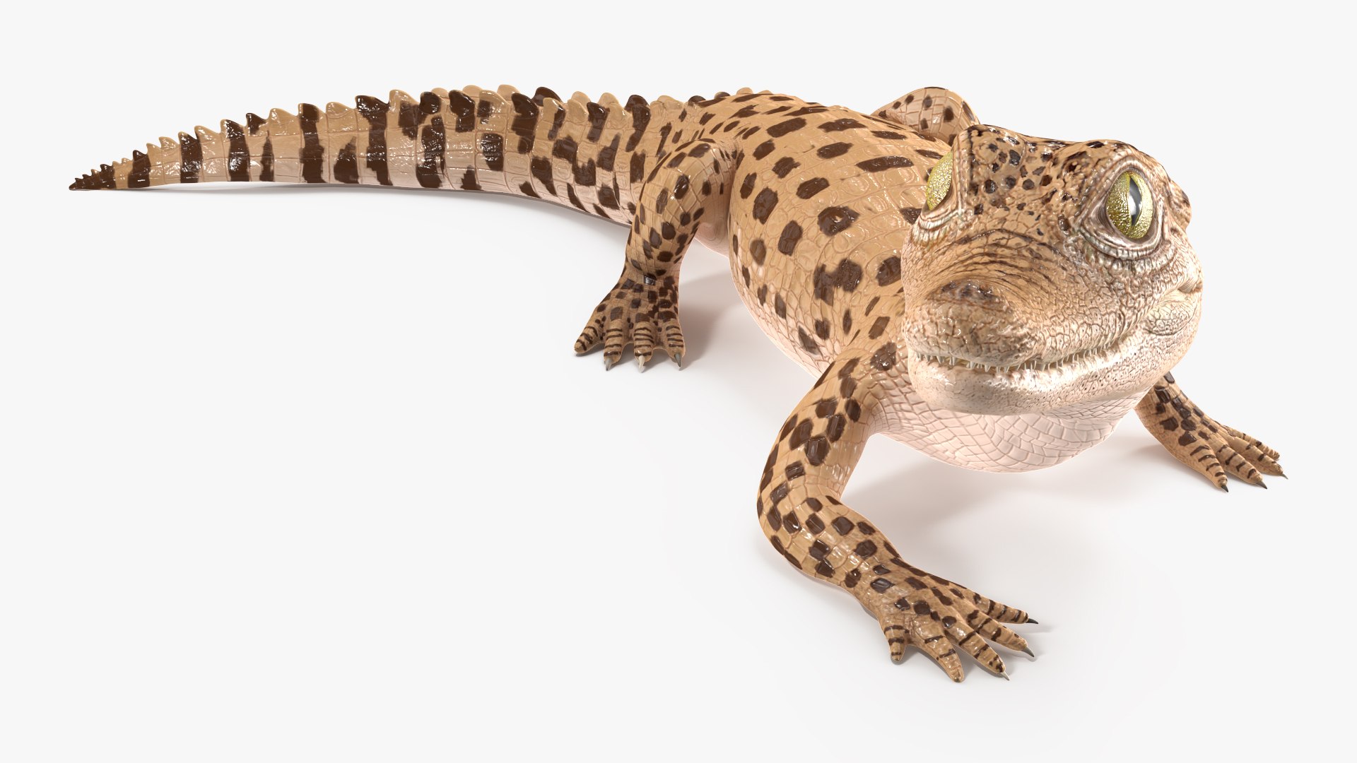 Baby Crocodile Light Color Rigged for Maya 3D https://p.turbosquid.com/ts-thumb/gF/OlYuMo/y2/babycrocodilelightcolorrigged3dmodel023/jpg/1655313117/1920x1080/fit_q87/9109304c2fbc8003be2ad58a118fe8ad1749fd8a/babycrocodilelightcolorrigged3dmodel023.jpg