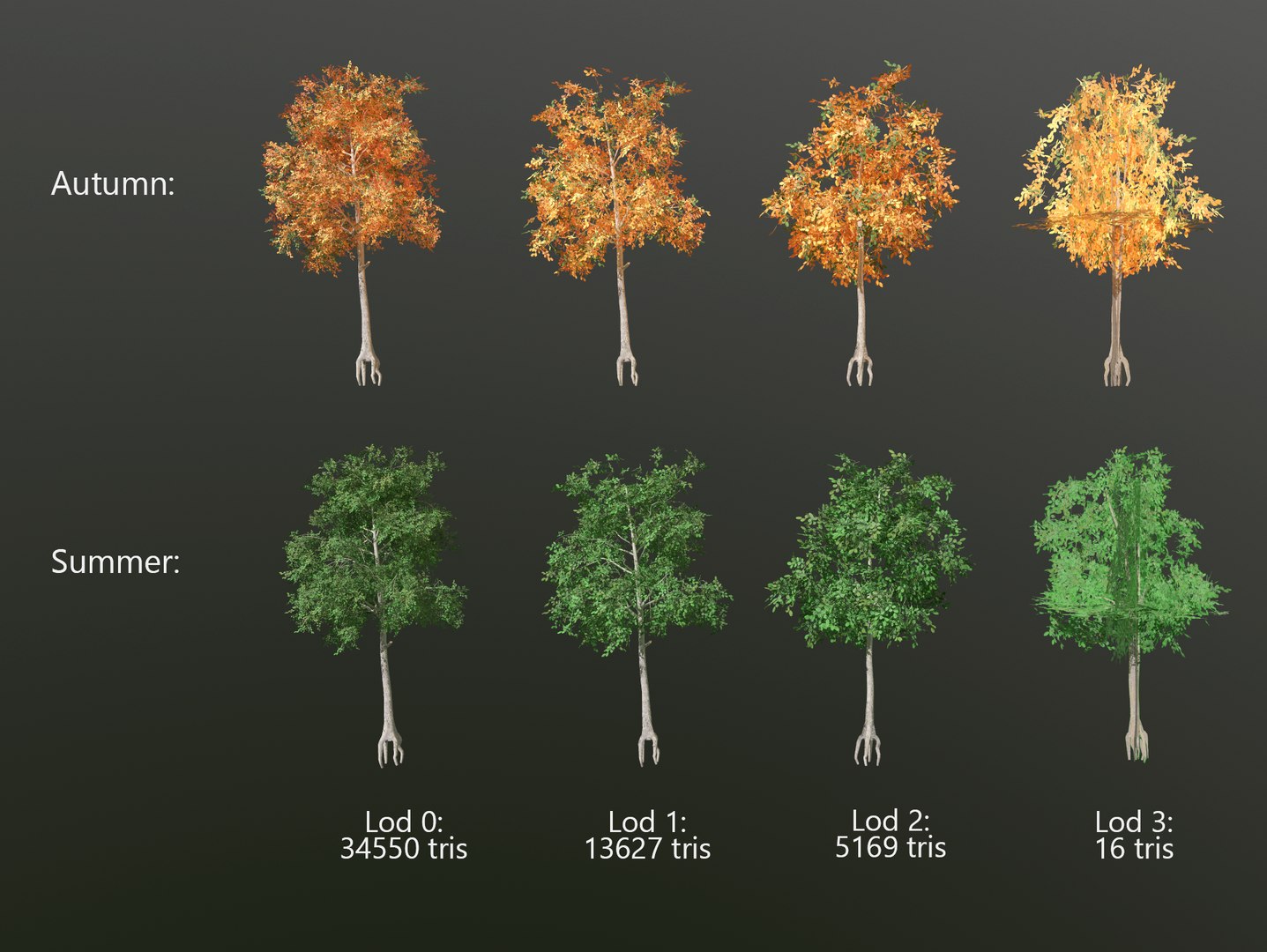 3D model aspen tree - - TurboSquid 1401664