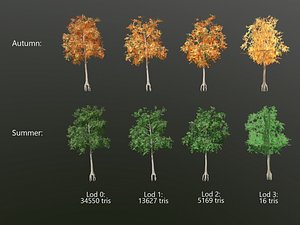 Aspen tree - low poly with lods