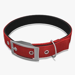 Pet Collar with Metal Buckle