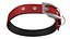 3D Pet Collar with Metal Buckle model