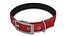 3D Pet Collar with Metal Buckle model