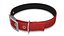 3D Pet Collar with Metal Buckle model