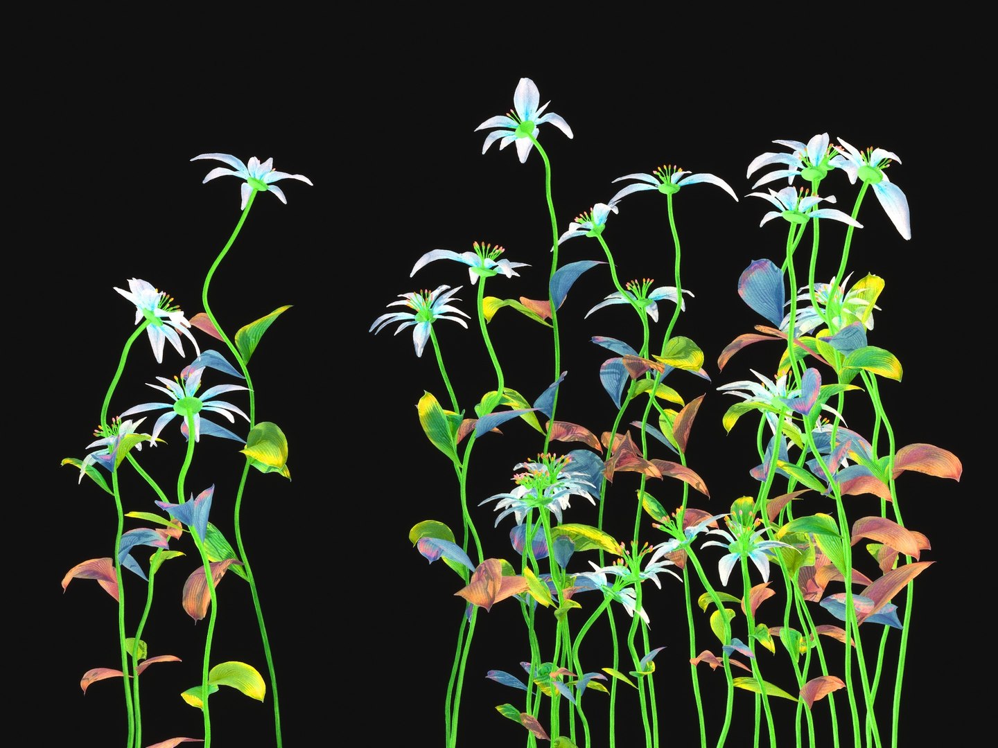3D magic meadow hd model https://p.turbosquid.com/ts-thumb/gF/Y1CnGh/E20lABjQ/88978900/jpg/1552340301/1920x1080/fit_q87/5f25cdca39937b69c4c2ea589b0253e2432f6e97/88978900.jpg