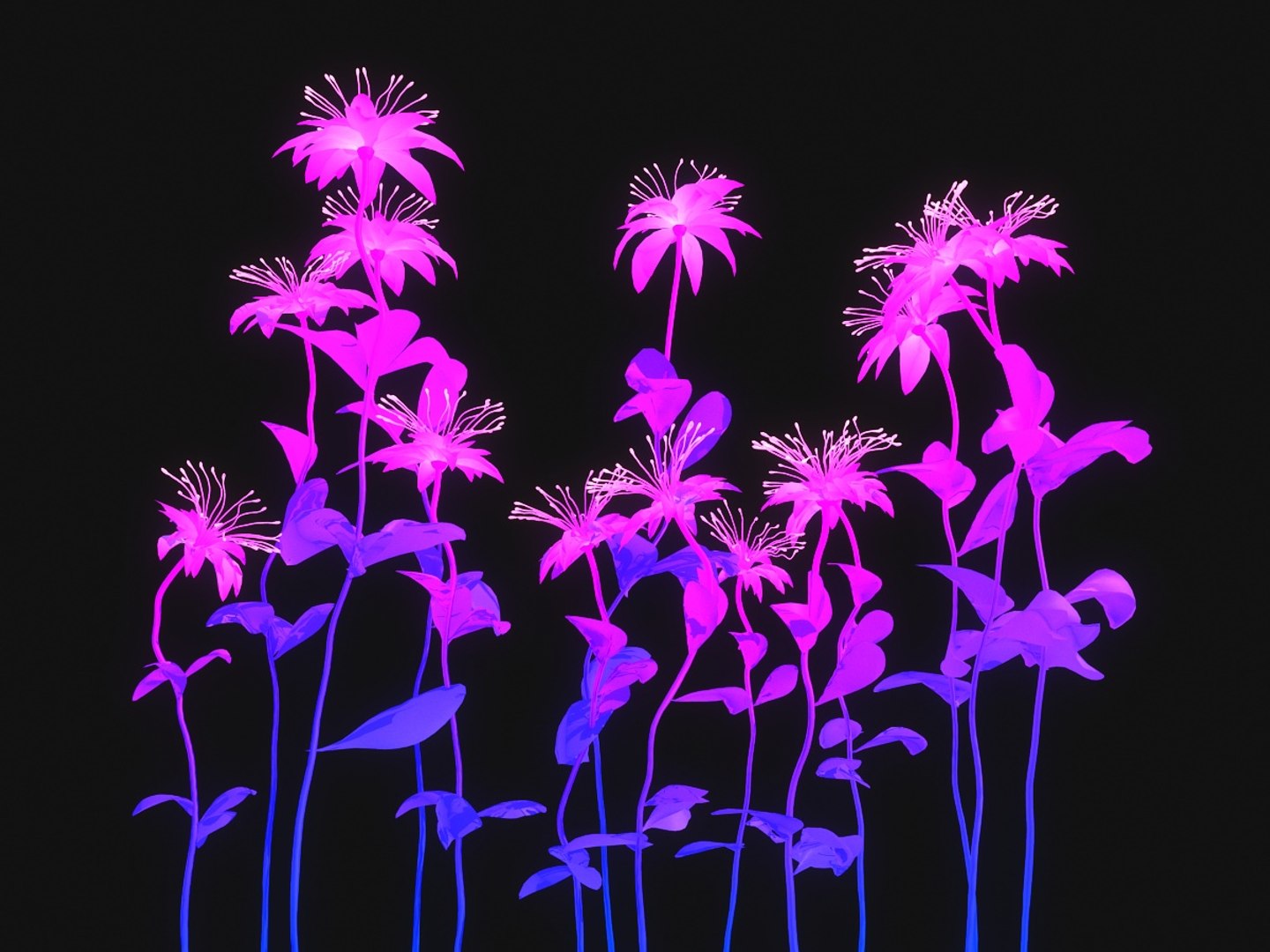 3D magic meadow hd model https://p.turbosquid.com/ts-thumb/gF/Y1CnGh/nvMpUMuk/00/jpg/1552340301/1920x1080/fit_q87/6d294c5421b1988013a60f4bbb1bcc2e45bb1f14/00.jpg