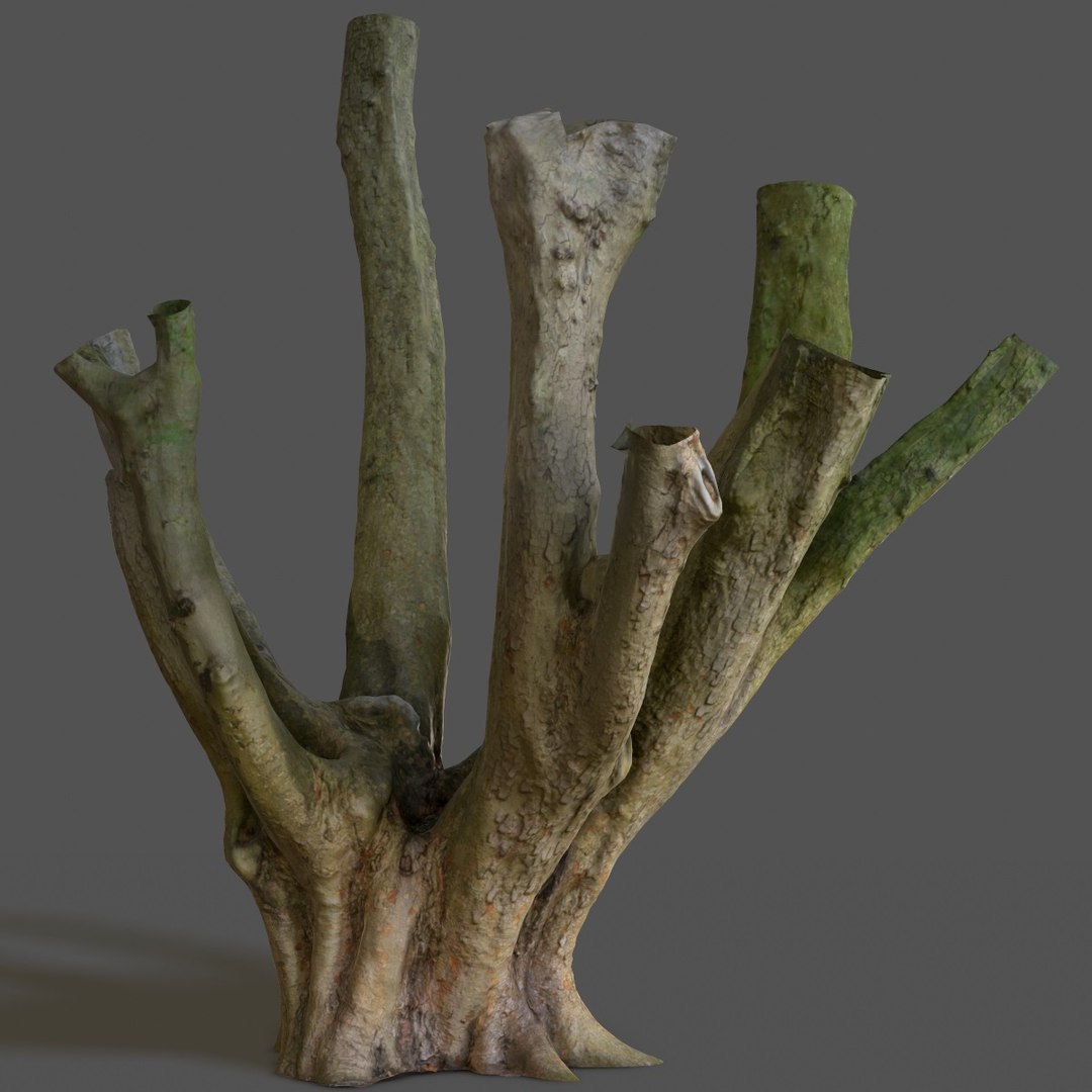 Obj Tree Asset