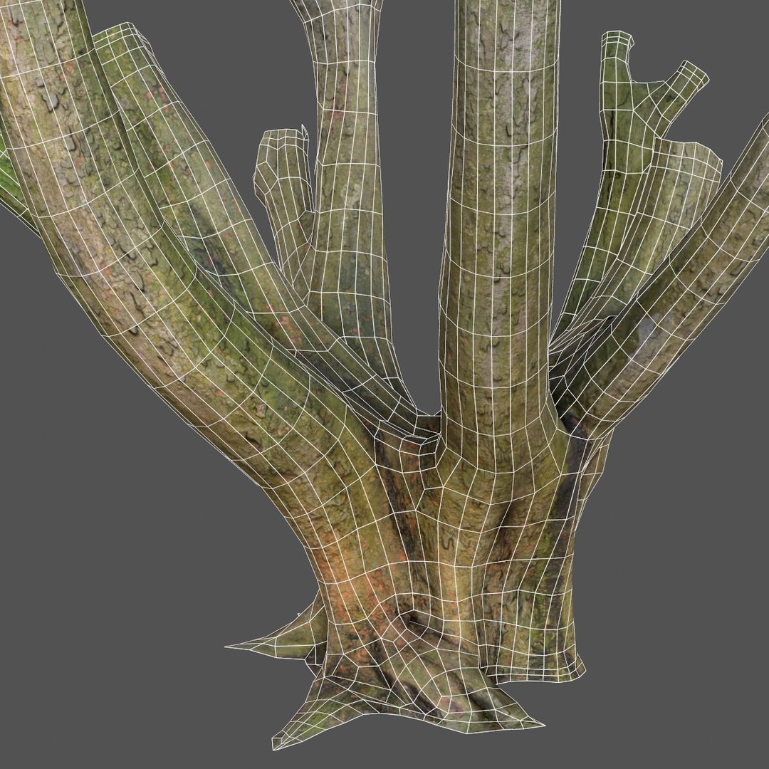 Obj Tree Asset