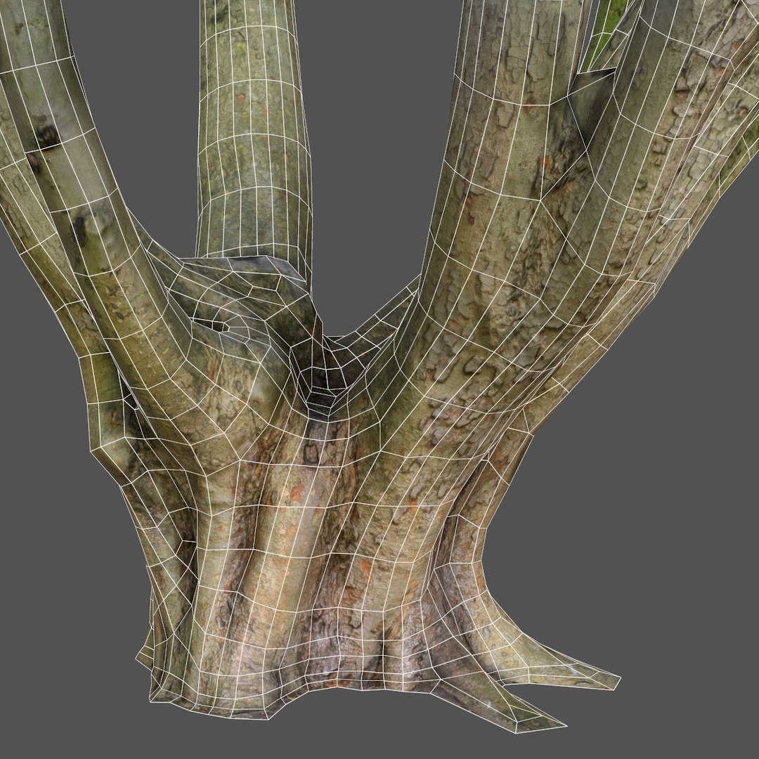 Obj Tree Asset