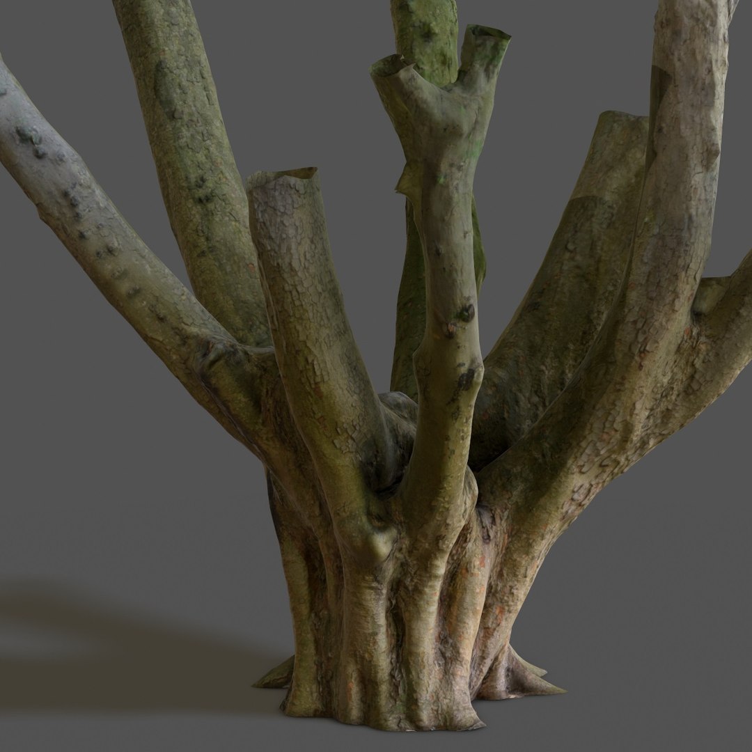 Obj Tree Asset