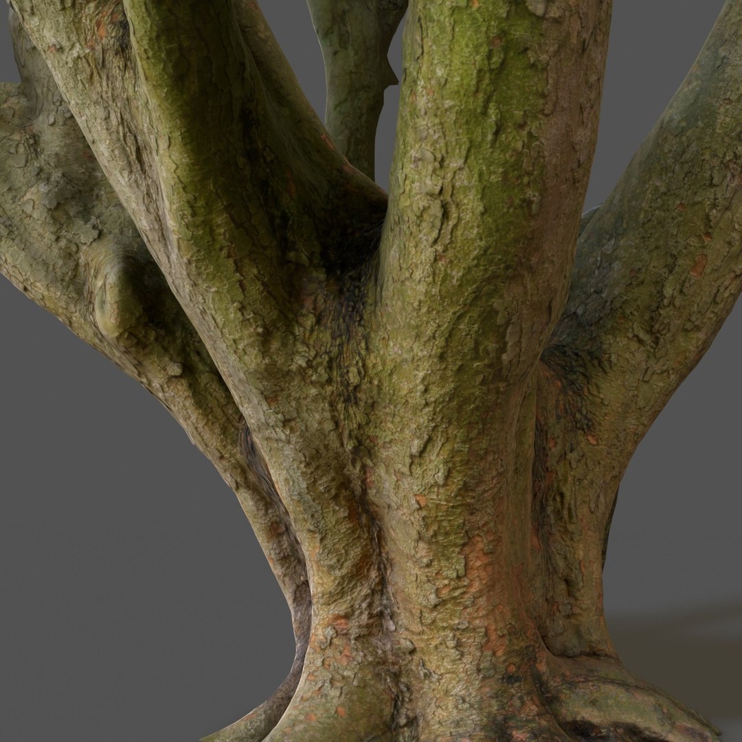 Obj Tree Asset