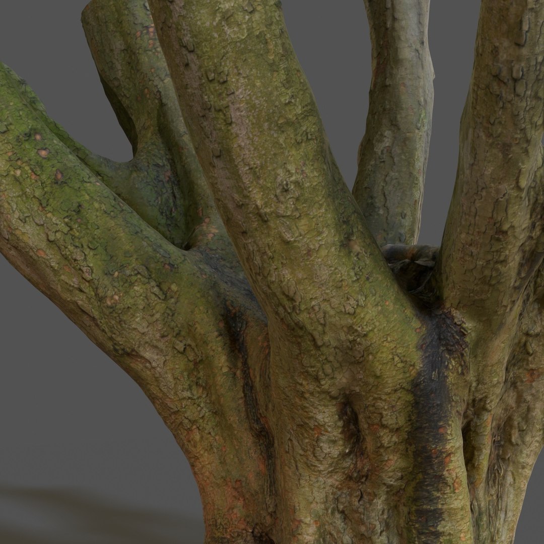 Obj Tree Asset
