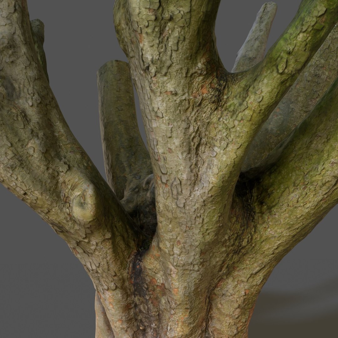 Obj Tree Asset