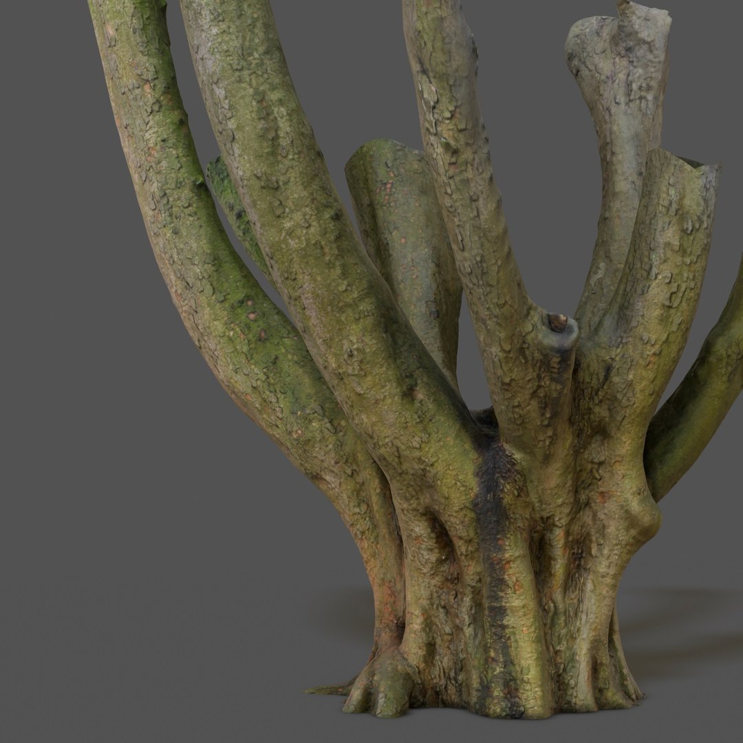 Obj Tree Asset