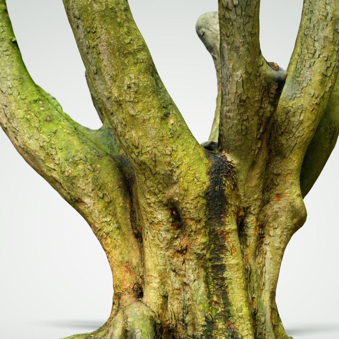 Obj Tree Asset